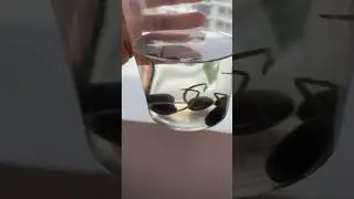 Необычное хобби в Таиланде 