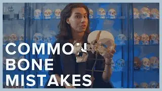 MISCONCEPTIONS in The Bone Industry