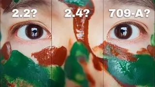 Gamma 2.2 vs 2.4 vs Rec. 709A - Which is the Right Output Gamma for Youtube Videos?