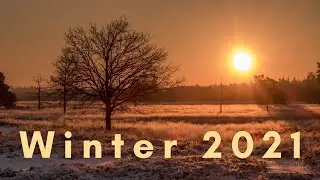 Nederlandse winter 2021