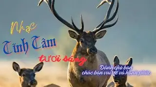 NHẠC TĨNH TÂM TƯƠI SÁNG DÀNH CHO BẠN CHÚC BẠN VUI VẺ VÀ HẠNH PHÚC #youtube #popcast#nhactinhtam