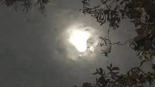 солнце в ручье