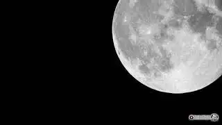 Full moon | Nikon P1000 | 4K