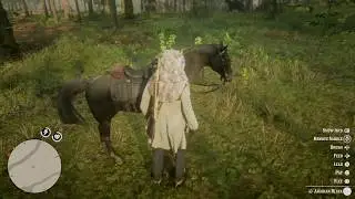 Red Dead Redemption 2_Arabian black horse