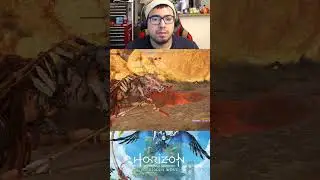 Horizon Forbidden West Random Takedowns