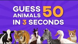 Guess 50 Animals in 3 seconds | Animals Quiz