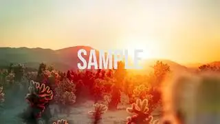 Light leak Effect Green Screen