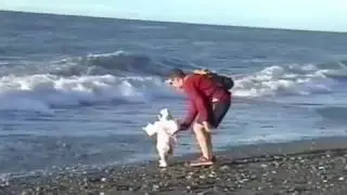 Incredible Moments When Dad Saved the Day