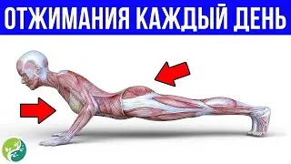 ВСЕГО 30 Отжиманий Каждый День В Течение 1 Месяца, Посмотрите, Что Происходит С Вашим Телом