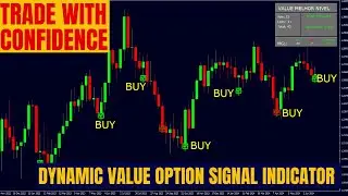 Trade with Confidence Dynamic Value Option Signal Indicator