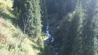 Ущелье горельник в горах. Речка и ёлочки. Город Алматы.