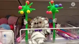 Прогулка Басика в магазин🧁🛍️