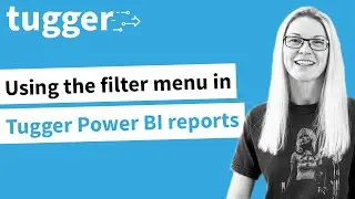 Using the filter menu in the Tugger Power BI Reports
