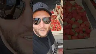 Я НАШЁЛ САМУЮ ВКУСНУЮ И  ДЕШЁВУЮ ЯГОДУ В НОВОСИБИРСКЕ 😋😋😋 
