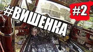 #ВИШЕНКА Вибропласт, все дела (2)