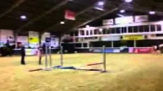 dewy en marlijn gaat sprinnen ???