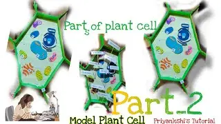 Parts of Plants cell (shortly discussed)
