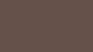 Umber Screen | 1 HOUR of UMBER | 60 Minutes of Umber