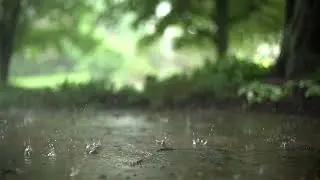 Slow Motion Rain Stock Footage  No Copyright Video  Royalty Free
