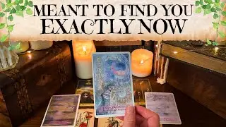 This Needed To Find You Exactly at This Moment ✨🧿 | Tarot Reading
