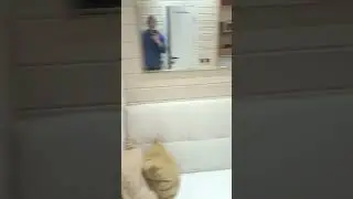 Когда бомбит на дизайнеров, и кто должен проектировать дома 