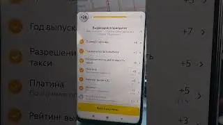 Получил разрешение на деятельность такси 