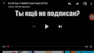 Опять ракцыя на котика