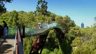 Kings Park, Perth