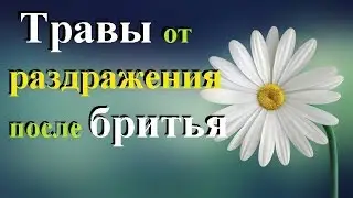 Как убрать раздражение после бритья народными средствами ...