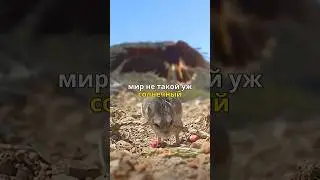 Всегда будь на чеку.
