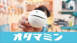 オタマミン　Otamamin