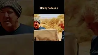 Моча в голову не бьёт. #shorts