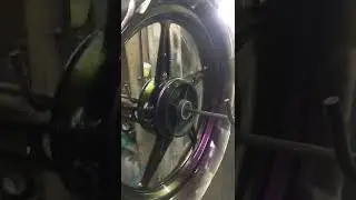 Bunglon green magenta