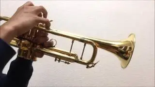 前前前世　【トランペットで演奏してみた！】