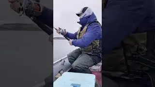 Сима, троллинг, Сахалин.