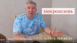 Что такое микрозелень, с чем её едят