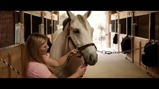WAHL Creativa Horse