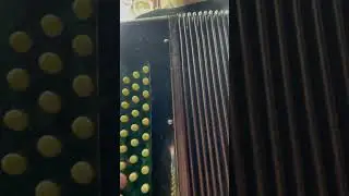 Гармошка