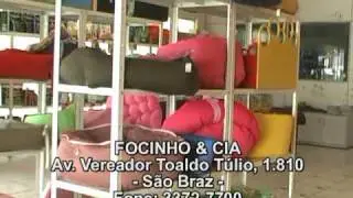 Focinho & Cia