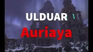 Ulduar: Auriaya Guide - Tips - PTR Footage Raid Lead Main Tank PoV