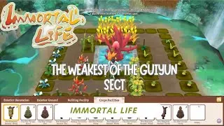 Immortal Life - How to Plant at Blessed Land
