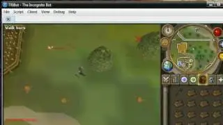 Woodcutting with TRiBot