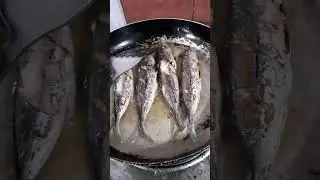 Delicious Ginataang kohol/suso (shell) #food #susorecipe #recipe