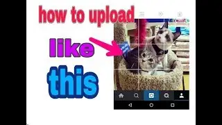 How to upload a picture in grid instagram