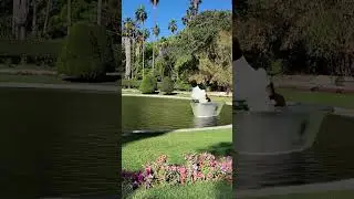 CGI Project for Evenlisse 2024 #cgi #cgiart #motiongraphics #vfx #3d #c4d #blender