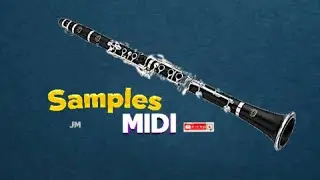 🎵 LOS MEJORES CLARINETES DE BANDA SINALOENSE  😯👌 (SamplesMidi)