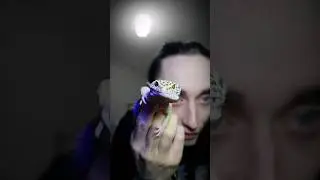 Писулёчек