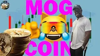 Mog Coin Price Update With a Simple Calculation