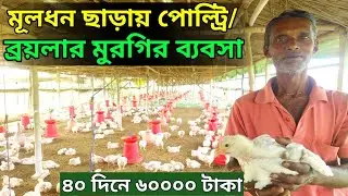 মূলধন ছাড়ায় কন্ট্রাকচুয়াল পোলট্রি/ব্রয়লার মুরগির ব্যবসা। Profitable poultry/Broiler farming 2024