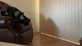 Smeagol DOESN’T hate Halloween anymore!